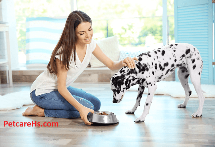 Advanced Pet Care, Better Quality of Life for Your Pets